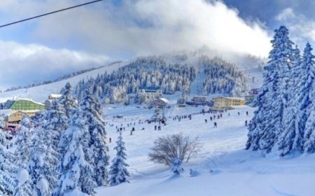 Avropa donur – Yeni il şaxtaları qitəni iflic etdi