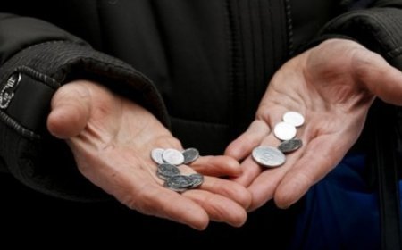 2026-cı ildən sosial cəhətdən həssas şəxslərin məşğulluq proqramı dayandırılır