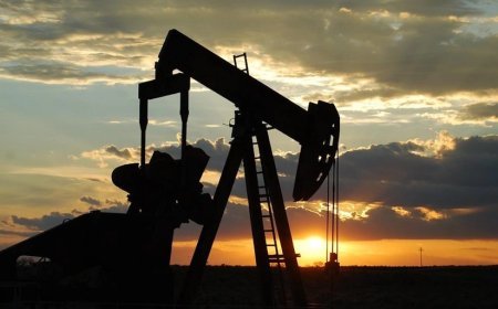 Venesuela ABŞ ilə razılığa gəldi - 50 milyon barel neft verəcək