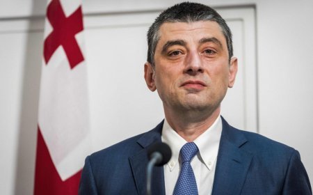 Gürcüstan Almaniyadan sabiq Baş nazir Qaxariyanın ekstradisiyasını gözləyir