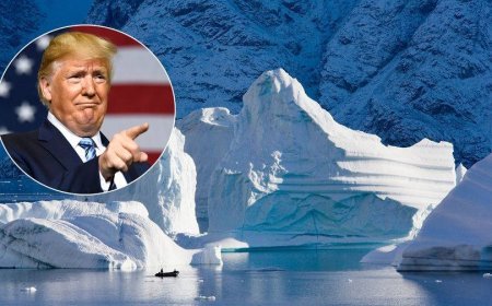 “Hərəyə 100 min verək” - ABŞ-nin Qrenlandiya planı