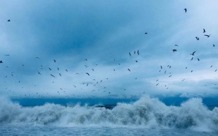 10-12 yanvar tarixlərində Gürcüstanda necə hava gözlənilir?