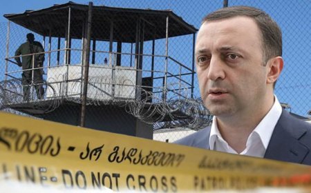 Qaribaşvilinin evindən müsadirə edilən 6,5 milyon dollar dövlət büdcəsinə köçürülüb