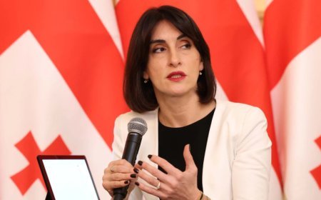 Orta Dəhlizin inkişafı Gürcüstan üçün həyati əhəmiyyət daşıyır