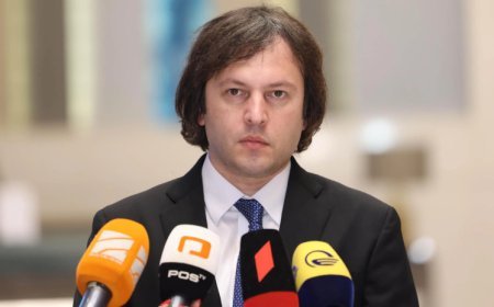 Kobaxidze sələfinin həbsinə münasibət bildirib