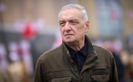 Aİ Gürcüstanda qarşıdurmanı təşviq edir