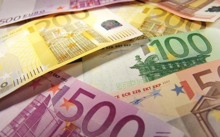 16 yanvar xarici valyutaların məzənnələri