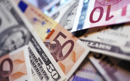 17 yanvar xarici valyutaların məzənnələri