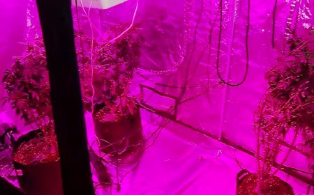 Tbilisidə Rusiya vətəndaşı narkotik laboratoriyası qurduğu üçün saxlanılıb