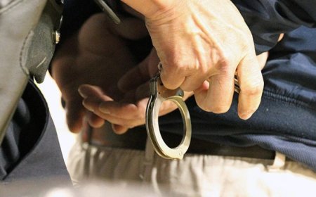 Gürcüstanda İnterpol xətti ilə axtarışda olan Türkiyə vətəndaşı saxlanılıb