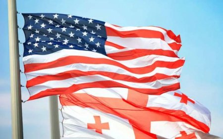 ABŞ Gürcüstan DİN-ə 733 min dollar dəyərində triaj laboratoriyası verib