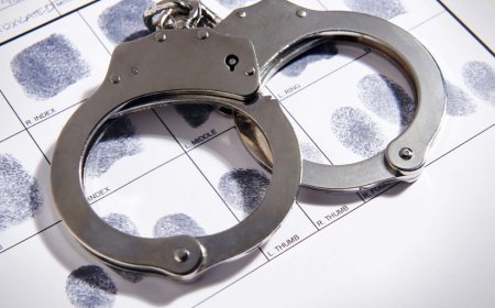 Gürcüstanda "Qırmızı bülleten"lə axtarılan 4 Türkiyə vətəndaşı saxlanılıb