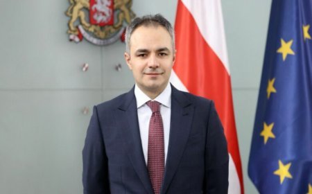 Gürcüstanın keçmiş təhsil naziri Rusiyada diplomatik nümayəndə təyin edilib