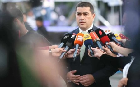 Danışacaq heç nə yoxdur: Papuaşvili Sanduya sərt CAVAB VERDİ