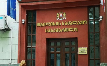Tbilisi Şəhər Məhkəməsi səhiyyə nazirinin keçmiş müavini barədə qərar verib