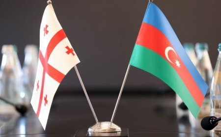 Azərbaycanın və Gürcüstanın Daxili İşlər nazirlikləri arasında əməkdaşlığı nəzərdə tutan Saziş təsdiqlənib