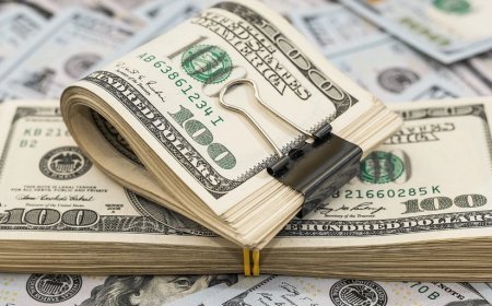 31 yanvar xarici valyutaların məzənnələri