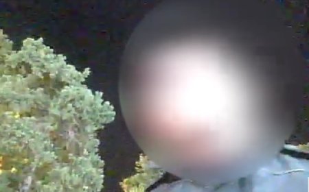 Batumidə Mühafizə Polisi əməkdaşı rüşvət aldığına görə saxlanılıb