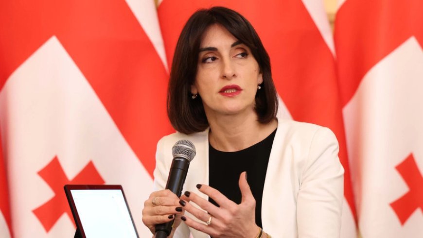 Orta Dəhlizin inkişafı Gürcüstan üçün həyati əhəmiyyət daşıyır