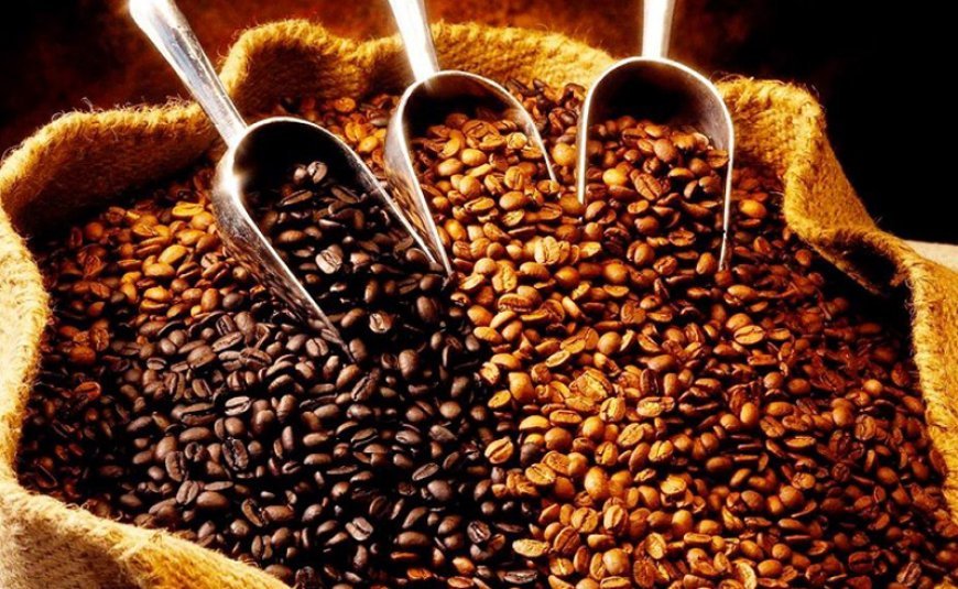 Gürcüstanda qəhvə istehsalında noxuddan istifadə edən şirkət cərimələnib