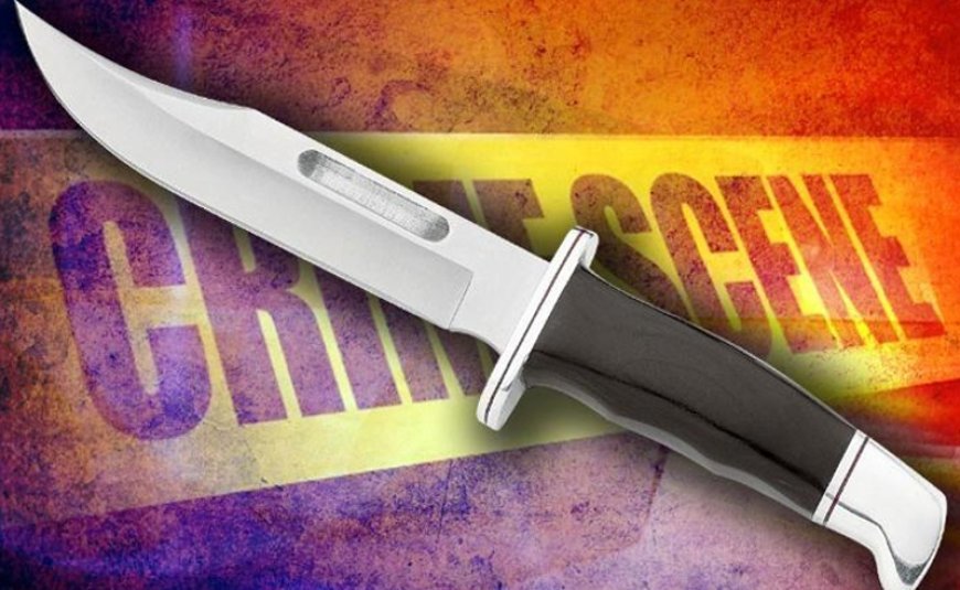 Gürcüstanda bir nəfəri bıçaqlayan Ermənistan vətəndaşı saxlanılıb