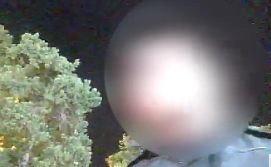 Batumidə Mühafizə Polisi əməkdaşı rüşvət aldığına görə saxlanılıb