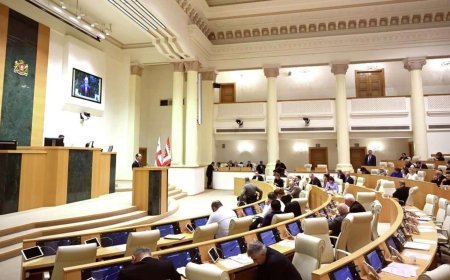 Gürcüstanda xarici maliyyələşmə və siyasi fəaliyyətlə bağlı qaydalar sərtləşdirilir
