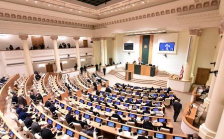 Gürcüstanda qrantlarla bağlı qanun sərtləşdirilir, həbs cəzası ağırlaşdırılır