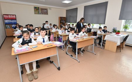 Gürcüstanda ümumi təhsillə bağlı qaydalar dəyişdi