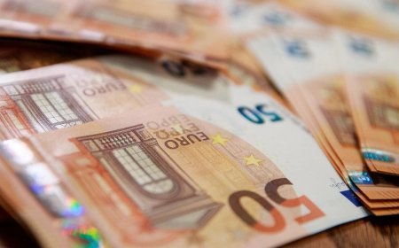 5 fevral xarici valyutaların məzənnələri