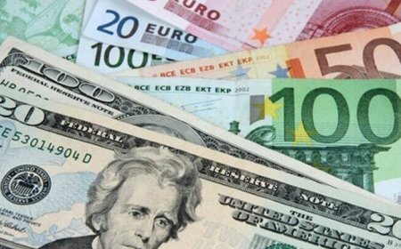 7 fevral xarici valyutaların məzənnələri