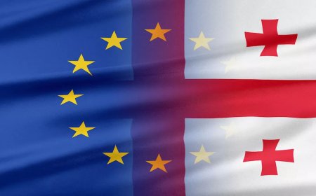 Aİ-nin 25 üzv ölkəsi Gürcüstan diplomatları üçün vizasız rejimin dayandırılmasını dəstəkləyib