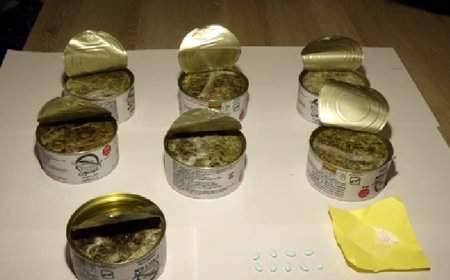 Tbilisi hava limanında əcnəbi vətəndaş narkotiklə saxlanılıb