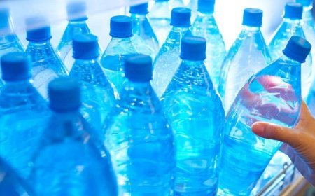 Gürcüstanda plastik butulkalarda içkilərin satışı qadağan oluna bilər