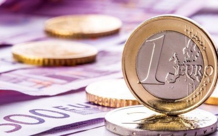 12 fevral xarici valyutaların məzənnələri