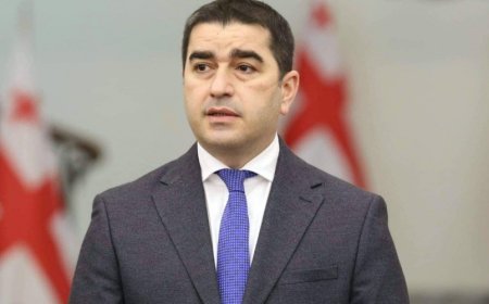 Avropa Gürcüstana tank yeritməyə hazırdır - Papuaşvili