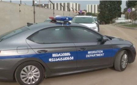 Gürcüstan bu il 4 000-ə yaxın qanunsuz miqrantı ölkədən çıxarmağı planlaşdırır