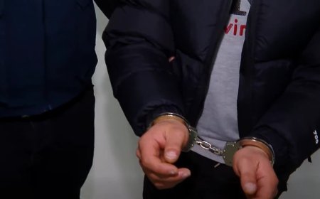 Gürcüstanda iki azyaşlıya qarşı əxlaqsız hərəkətlər edən şəxs saxlanılıb