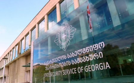 Gürcüstan DTX-də kadr islahatı: Yeni rəhbərlər təyin edildi