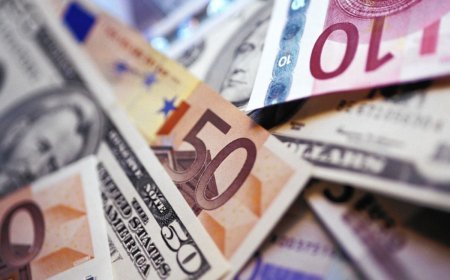 17 fevral xarici valyutaların məzənnələri