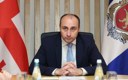 Son iki gündə Gürcüstanda keçirilən əməliyyatlarda 97 nəfər həbs edilib