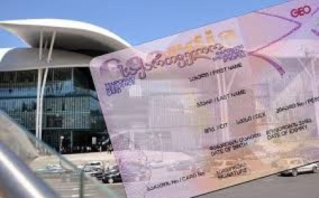 Gürcüstanda yaşayış izni almış əcnəbilər arasında Azərbaycan vətəndaşları üçüncü yeri tutur