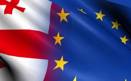 Gürcüstan ATƏT-in sədrliyinə namizəd ölkə ola bilər