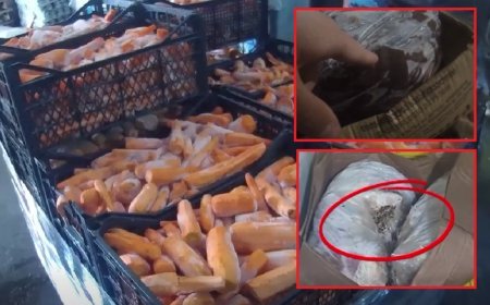 Gürcüstanda "Kula"nın təsisçisi həbs edildi: 500 minlik girov təklifi rədd olundu