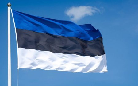 Papuaşvili Estoniya səfirini təhsil islahatına müdaxilə etməkdə ittiham edib