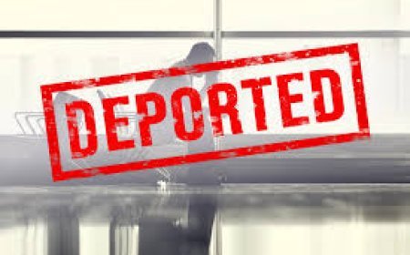 Gürcüstanda əməliyyat: Azərbaycan vətəndaşları daxil 85 əcnəbi ölkədən deportasiya edilib