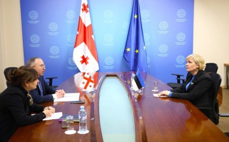 Estoniya səfiri Gürcüstan XİN-ə çağırılıb