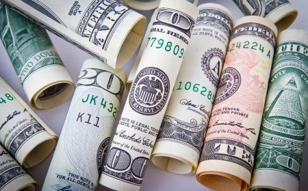 26 fevral xarici valyutaların məzənnələri