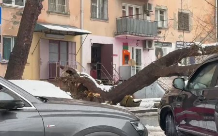 Tbilisidə hava şəraiti kəskin pisləşib: Yollar su altında, ağaclar aşıb-Video