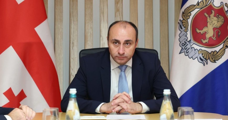 Son iki gündə Gürcüstanda keçirilən əməliyyatlarda 97 nəfər həbs edilib